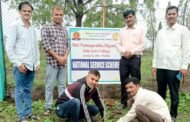 प.दी जैन कला महाविद्यालयात एक पेड मा के नाम उपक्रम साजरा