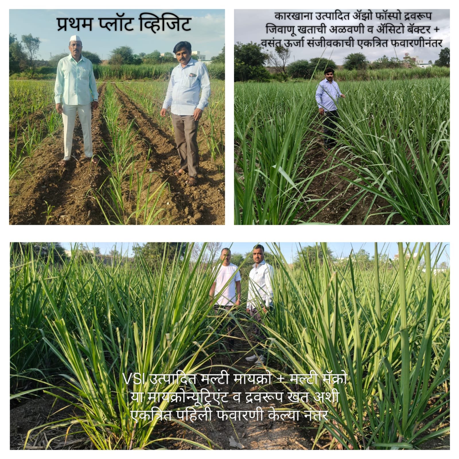 शेतकरी करतायेत कारखाना मार्गदर्शनाने ऊस शेती...!*